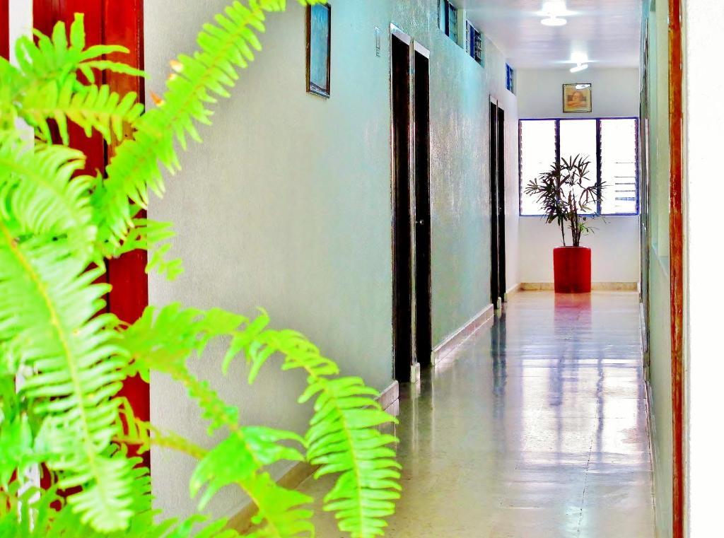Hotel Acuario Catemaco Dış mekan fotoğraf