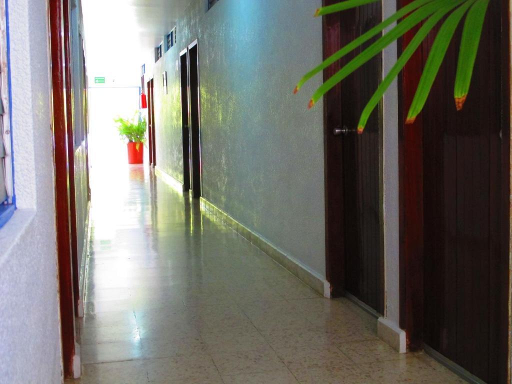 Hotel Acuario Catemaco Dış mekan fotoğraf