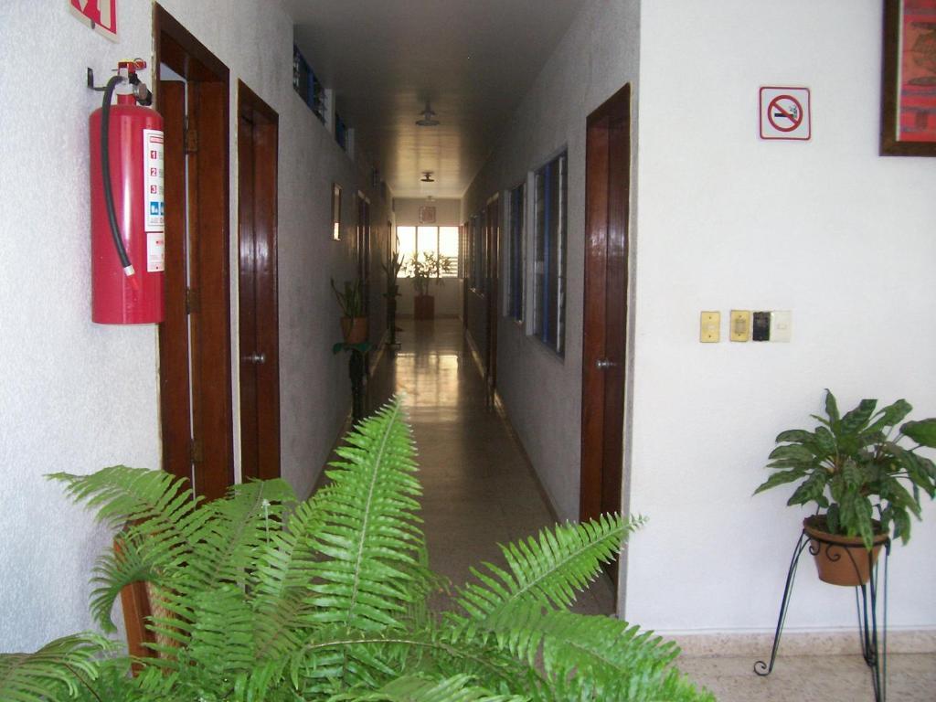 Hotel Acuario Catemaco Dış mekan fotoğraf